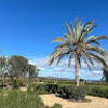 monicaramos440